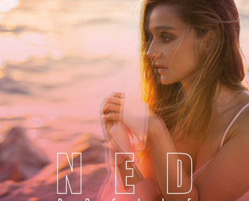 pochette de l'album et du titre "Docile" de l'artiste NED